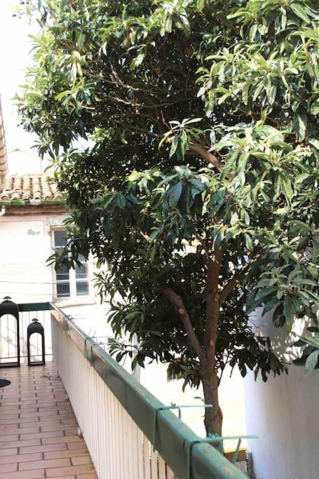 Spacieux Appartement 4 Couchages, Terrasse Privee Нарбонна Экстерьер фото